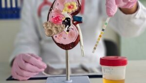 Helex привлек $3.5 млн для не-вирусной генной терапии почек