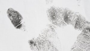 Evonik внедряет «след выгоды» для оценки социально-экономического влияния фармпроизводства