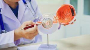 Otsuka и 4DMT договорились о выводе 4D-150 на рынок Азиатско-Тихоокеанского региона